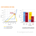 Centrale électrique à double combustible 1MW-100MW